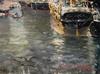 Boats and the ship Africa in harbor - Zardetti Eugen